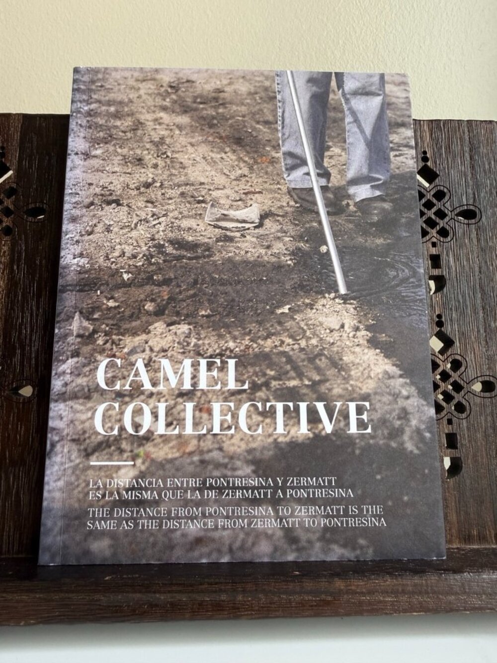 Camel Collective Art Exhibition Catalog MUAC UNAM 2017 Contemporary Art Book